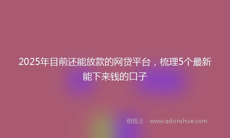 2025年目前还能放款的网贷平台，梳理5个最新能下来钱的口子