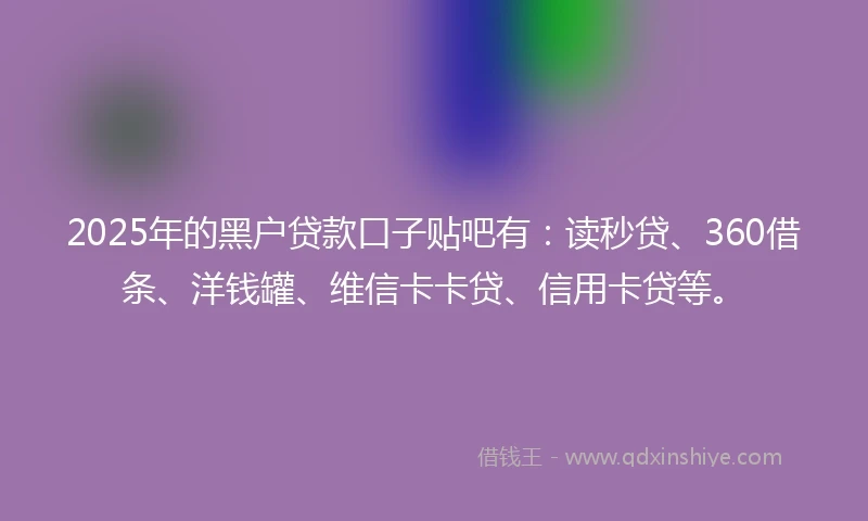 2025年的黑户贷款口子贴吧有：读秒贷、360借条、洋钱罐、维信卡卡贷、信用卡贷等。