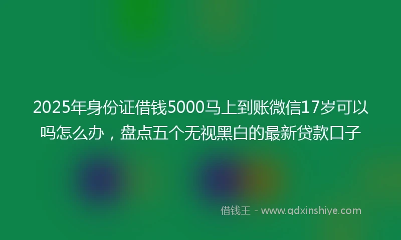 2025年身份证借钱5000马上到账微信17岁可以吗怎么办，盘点五个无视黑白的最新贷款口子