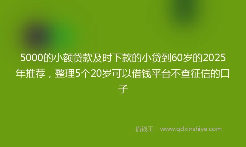5000的小额贷款及时下款的小贷到60岁的2025年推荐，整理5个20岁可以借钱平台不查征信的口子