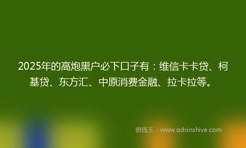 2025年的高炮黑户必下口子有：维信卡卡贷、柯基贷、东方汇、中原消费金融、拉卡拉等。