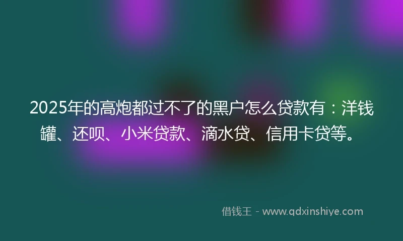 2025年的高炮都过不了的黑户怎么贷款有：洋钱罐、还呗、小米贷款、滴水贷、信用卡贷等。