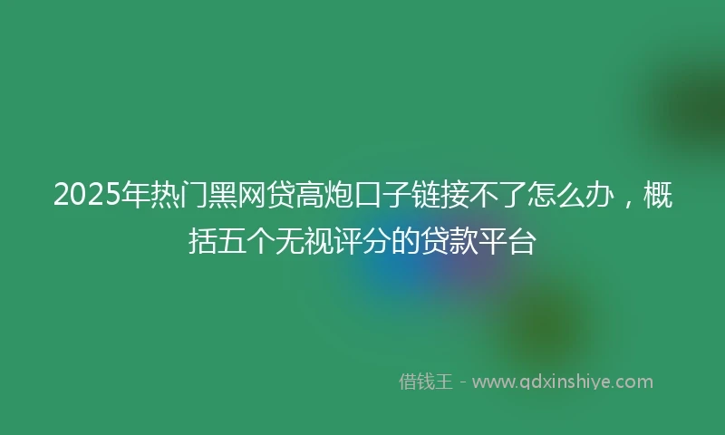 2025年热门黑网贷高炮口子链接不了怎么办，概括五个无视评分的贷款平台