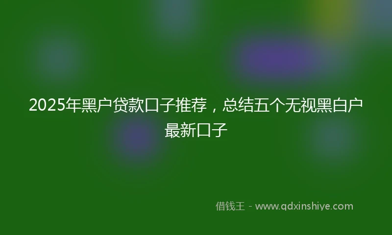 2025年黑户贷款口子推荐，总结五个无视黑白户最新口子