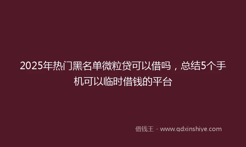 2025年热门黑名单微粒贷可以借吗，总结5个手机可以临时借钱的平台
