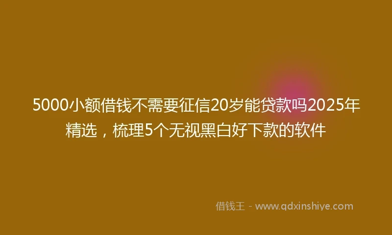 5000小额借钱不需要征信20岁能贷款吗2025年精选，梳理5个无视黑白好下款的软件