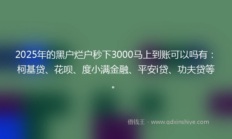 2025年的黑户烂户秒下3000马上到账可以吗有：柯基贷、花呗、度小满金融、平安i贷、功夫贷等。