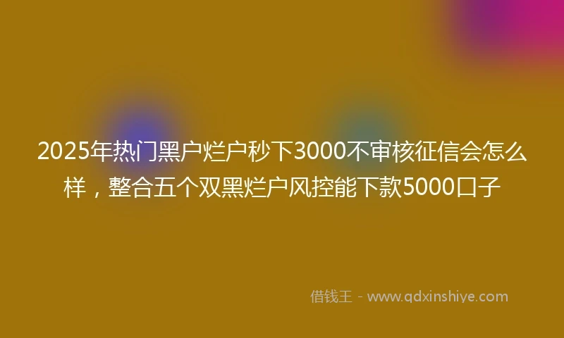 2025年热门黑户烂户秒下3000不审核征信会怎么样，整合五个双黑烂户风控能下款5000口子
