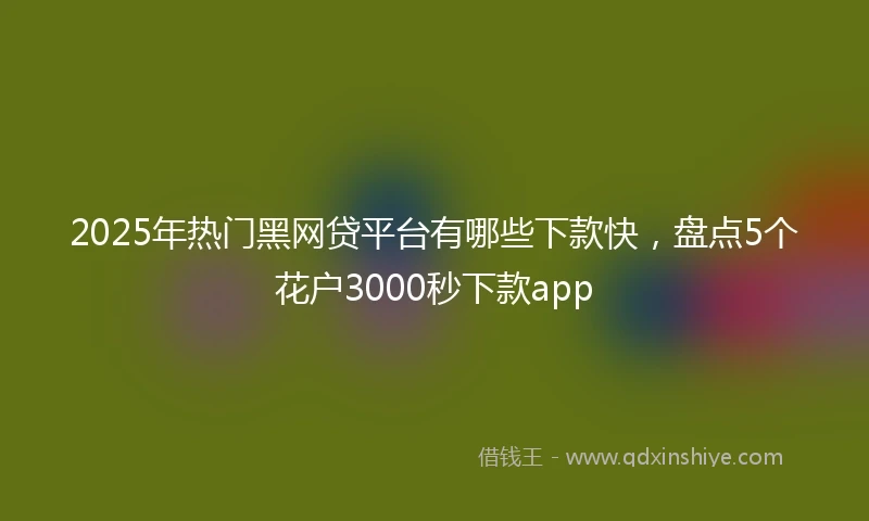 2025年热门黑网贷平台有哪些下款快，盘点5个花户3000秒下款app