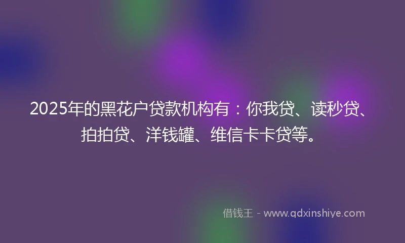 2025年的黑花户贷款机构有：你我贷、读秒贷、拍拍贷、洋钱罐、维信卡卡贷等。