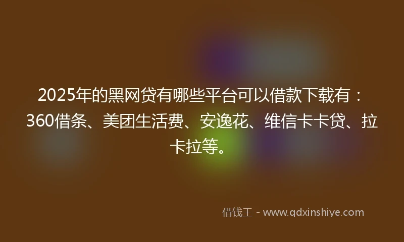 2025年的黑网贷有哪些平台可以借款下载有：360借条、美团生活费、安逸花、维信卡卡贷、拉卡拉等。