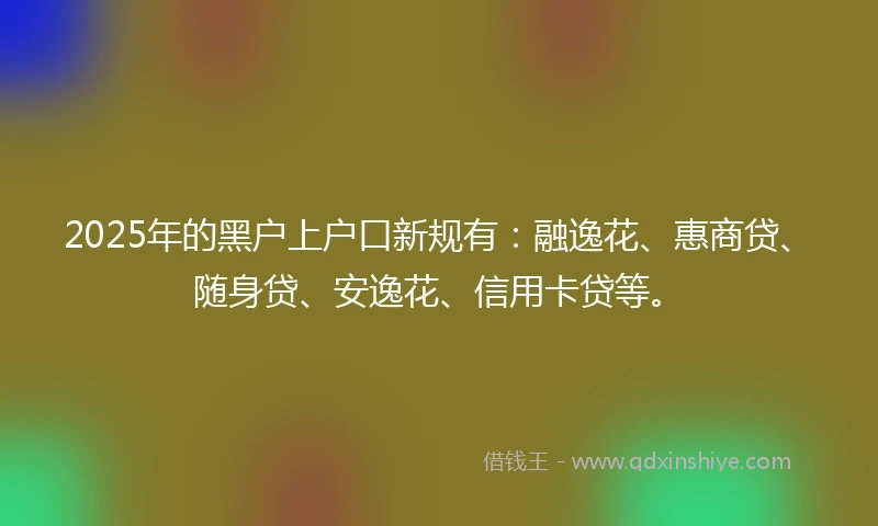 2025年的黑户上户口新规有：融逸花、惠商贷、随身贷、安逸花、信用卡贷等。