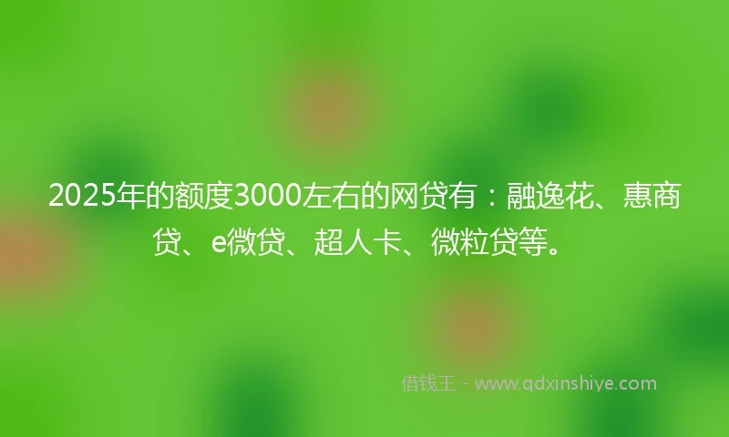 2025年的额度3000左右的网贷有：融逸花、惠商贷、e微贷、超人卡、微粒贷等。