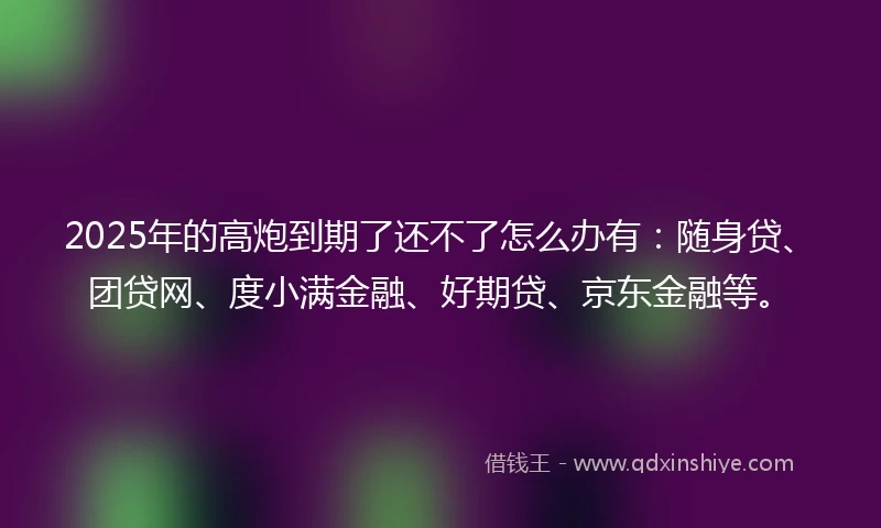 2025年的高炮到期了还不了怎么办有：随身贷、团贷网、度小满金融、好期贷、京东金融等。