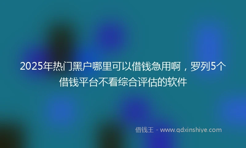 2025年热门黑户哪里可以借钱急用啊，罗列5个借钱平台不看综合评估的软件