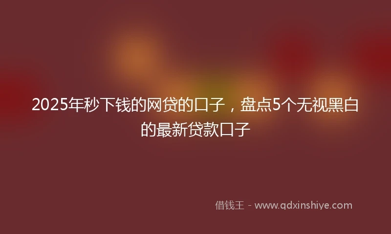 2025年秒下钱的网贷的口子，盘点5个无视黑白的最新贷款口子