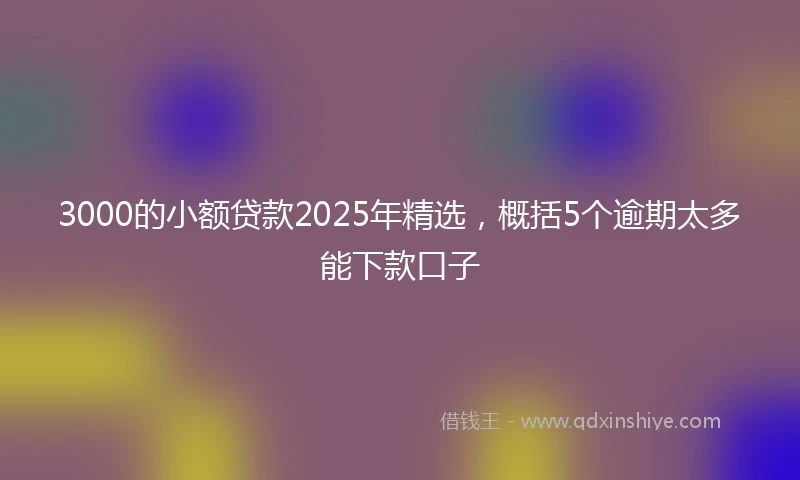 3000的小额贷款2025年精选，概括5个逾期太多能下款口子