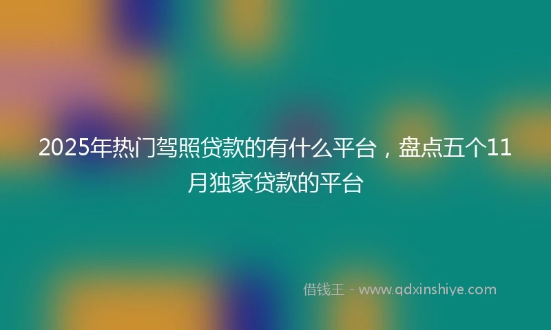 2025年热门驾照贷款的有什么平台，盘点五个11月独家贷款的平台
