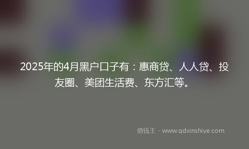 2025年的4月黑户口子有：惠商贷、人人贷、投友圈、美团生活费、东方汇等。