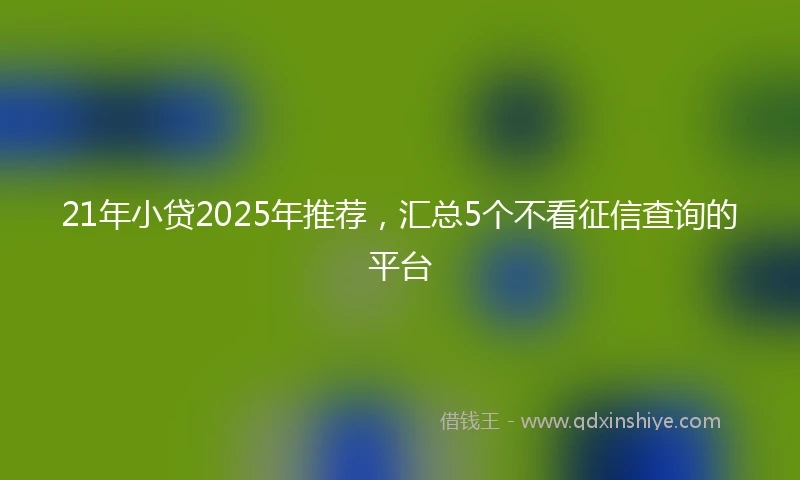 21年小贷2025年推荐，汇总5个不看征信查询的平台