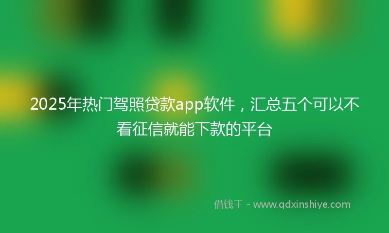 2025年热门驾照贷款app软件，汇总五个可以不看征信就能下款的平台