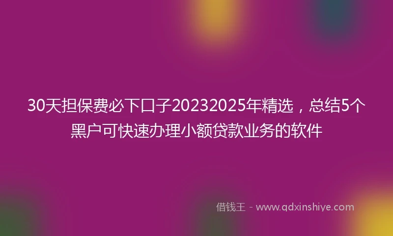 30天担保费必下口子20232025年精选，总结5个黑户可快速办理小额贷款业务的软件