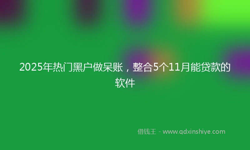 2025年热门黑户做呆账，整合5个11月能贷款的软件