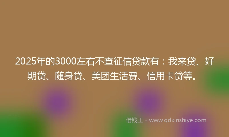 2025年的3000左右不查征信贷款有：我来贷、好期贷、随身贷、美团生活费、信用卡贷等。