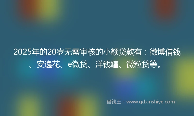 2025年的20岁无需审核的小额贷款有：微博借钱、安逸花、e微贷、洋钱罐、微粒贷等。