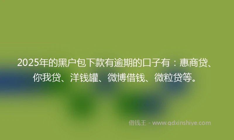 2025年的黑户包下款有逾期的口子有：惠商贷、你我贷、洋钱罐、微博借钱、微粒贷等。