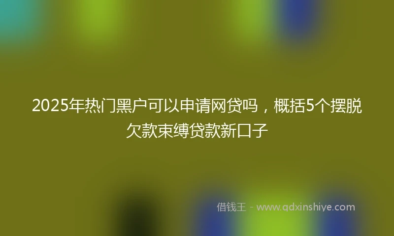 2025年热门黑户可以申请网贷吗，概括5个摆脱欠款束缚贷款新口子