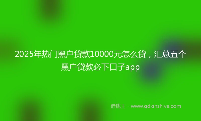 2025年热门黑户贷款10000元怎么贷，汇总五个黑户贷款必下口子app