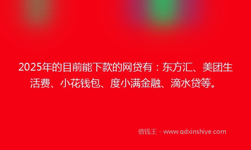 2025年的目前能下款的网贷有：东方汇、美团生活费、小花钱包、度小满金融、滴水贷等。