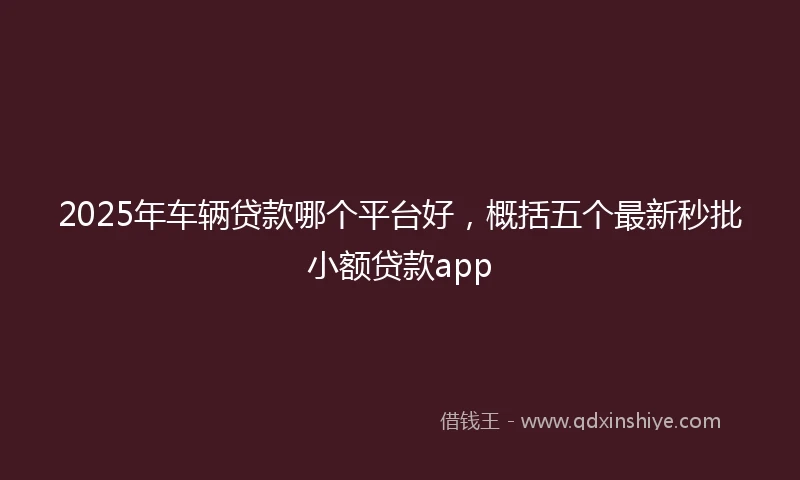 2025年车辆贷款哪个平台好，概括五个最新秒批小额贷款app