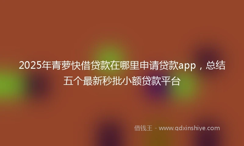 2025年青萝快借贷款在哪里申请贷款app，总结五个最新秒批小额贷款平台