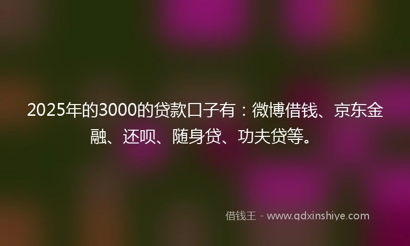 2025年的3000的贷款口子有：微博借钱、京东金融、还呗、随身贷、功夫贷等。