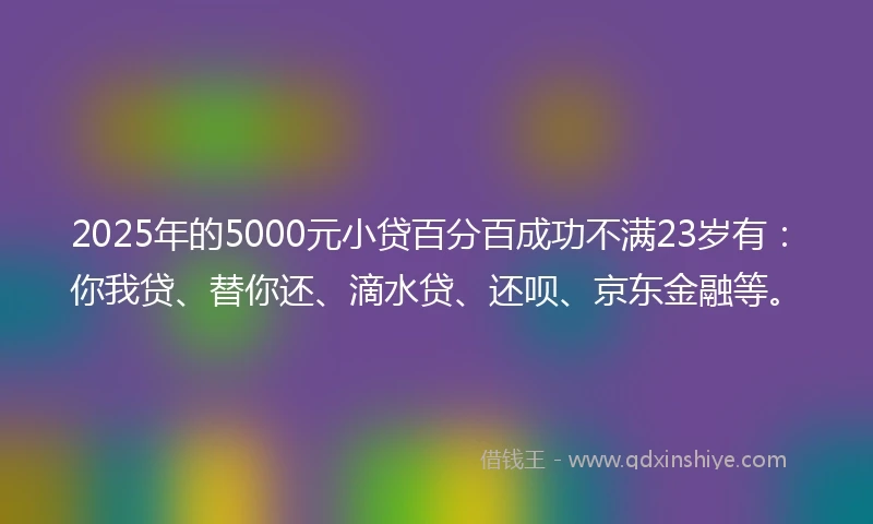 2025年的5000元小贷百分百成功不满23岁有：你我贷、替你还、滴水贷、还呗、京东金融等。
