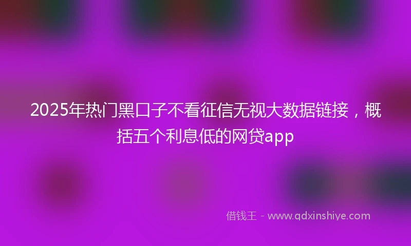 2025年热门黑口子不看征信无视大数据链接，概括五个利息低的网贷app