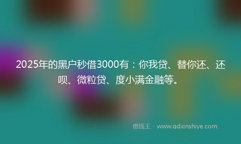 2025年的黑户秒借3000有：你我贷、替你还、还呗、微粒贷、度小满金融等。