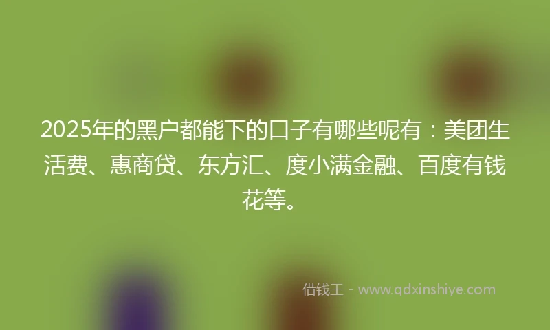 2025年的黑户都能下的口子有哪些呢有：美团生活费、惠商贷、东方汇、度小满金融、百度有钱花等。