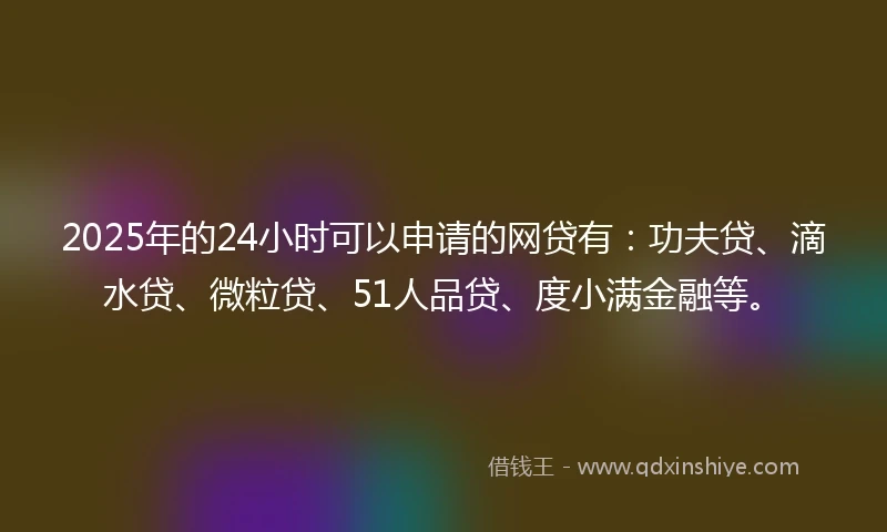 2025年的24小时可以申请的网贷有：功夫贷、滴水贷、微粒贷、51人品贷、度小满金融等。