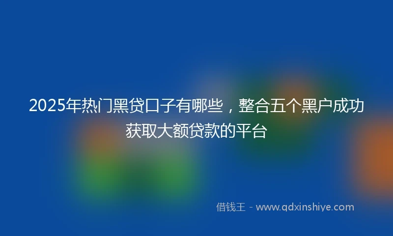 2025年热门黑贷口子有哪些，整合五个黑户成功获取大额贷款的平台