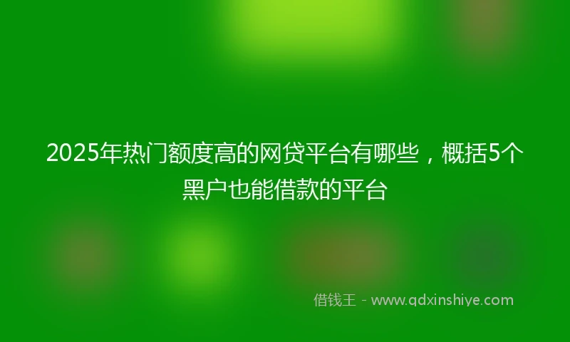 2025年热门额度高的网贷平台有哪些，概括5个黑户也能借款的平台