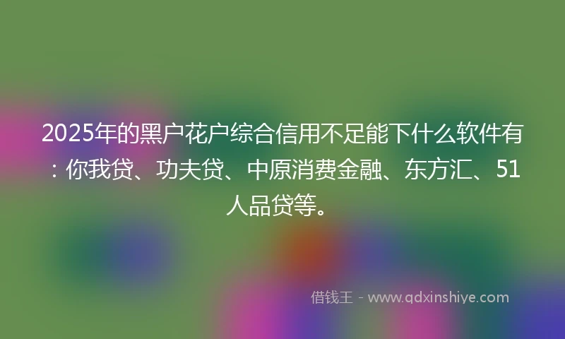 2025年的黑户花户综合信用不足能下什么软件有：你我贷、功夫贷、中原消费金融、东方汇、51人品贷等。