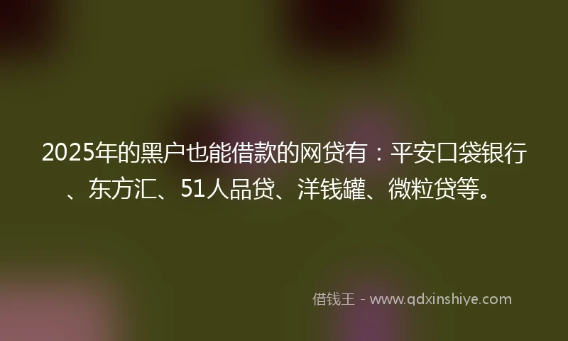 2025年的黑户也能借款的网贷有：平安口袋银行、东方汇、51人品贷、洋钱罐、微粒贷等。