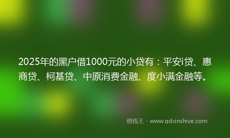 2025年的黑户借1000元的小贷有：平安i贷、惠商贷、柯基贷、中原消费金融、度小满金融等。