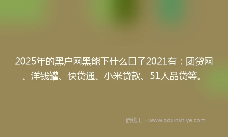 2025年的黑户网黑能下什么口子2021有：团贷网、洋钱罐、快贷通、小米贷款、51人品贷等。