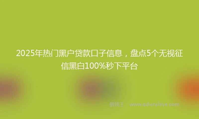 2025年热门黑户贷款口子信息，盘点5个无视征信黑白100%秒下平台