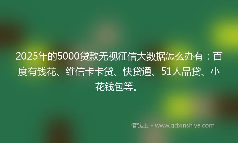 2025年的5000贷款无视征信大数据怎么办有：百度有钱花、维信卡卡贷、快贷通、51人品贷、小花钱包等。