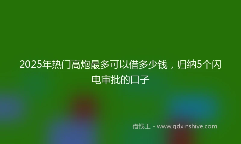 2025年热门高炮最多可以借多少钱，归纳5个闪电审批的口子